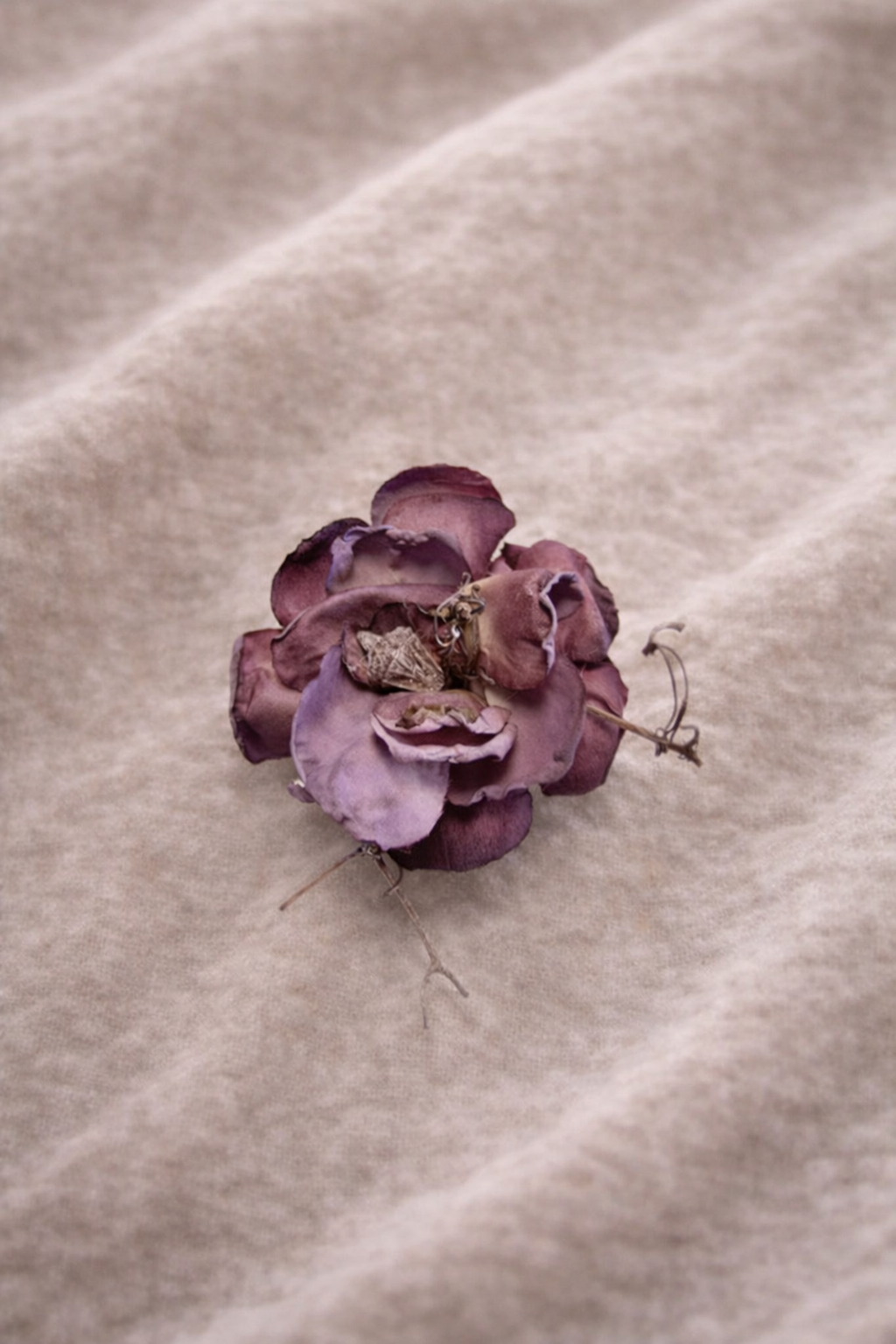 Mor Sofra Sunum Çiçeği